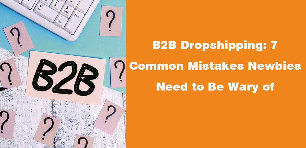 B2B Dropshipping 7 Common Mistakes Newbies Need to Be Wary of