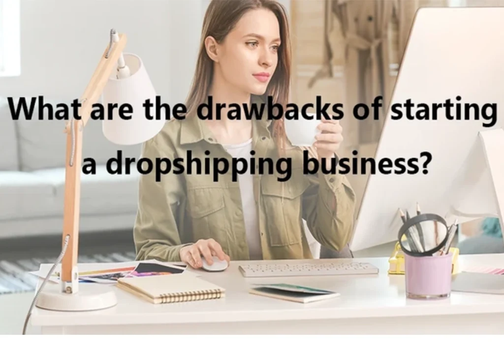 What Are the Drawbacks of Starting a Dropshipping Business