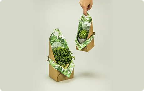 What Is Green Packaging