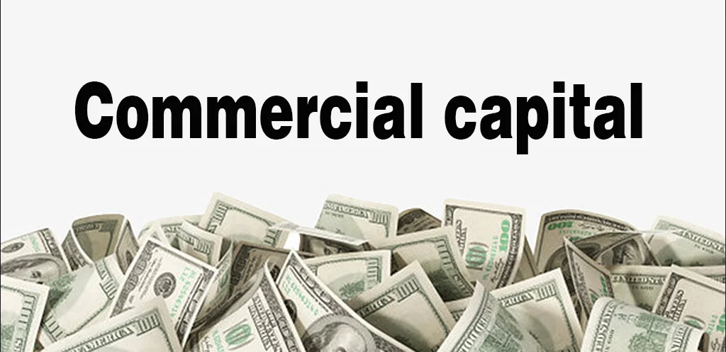 Where can you get your business capital