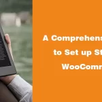 A Comprehensive Guide to Set up Stripe for WooCommerce